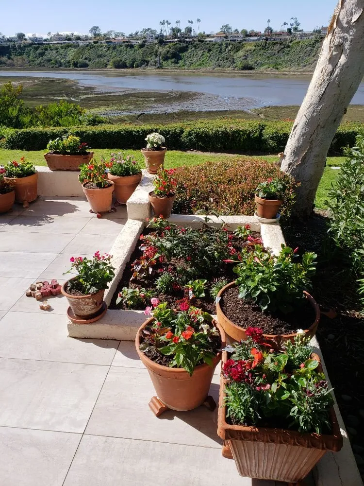 Professional landscaping services for year-round maintenance across Costa Mesa, CA - Fnl Landscaping