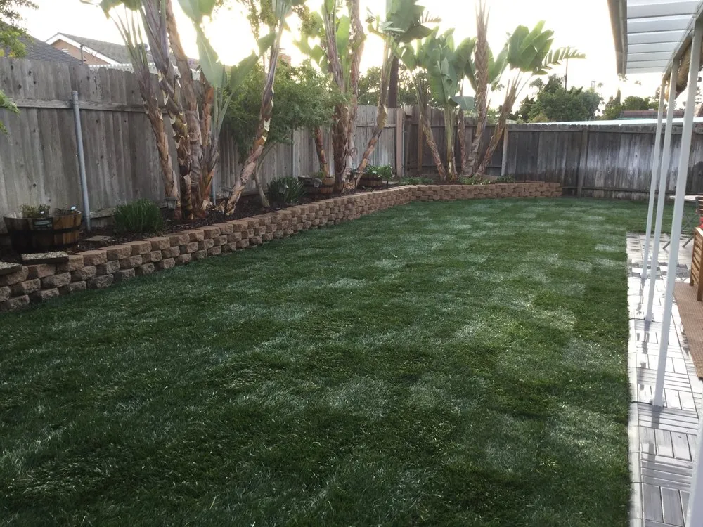 Expert residential landscaping near you in Costa Mesa, CA by Fnl Landscaping