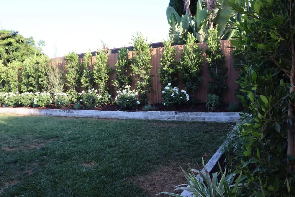 Expert landscaping services for year-round maintenance across Costa Mesa, CA - Fnl Landscaping