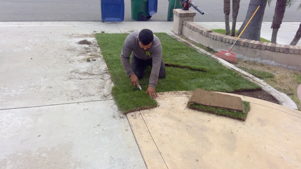 Reliable yard cleanup service experts serving Costa Mesa, CA - Fnl Landscaping