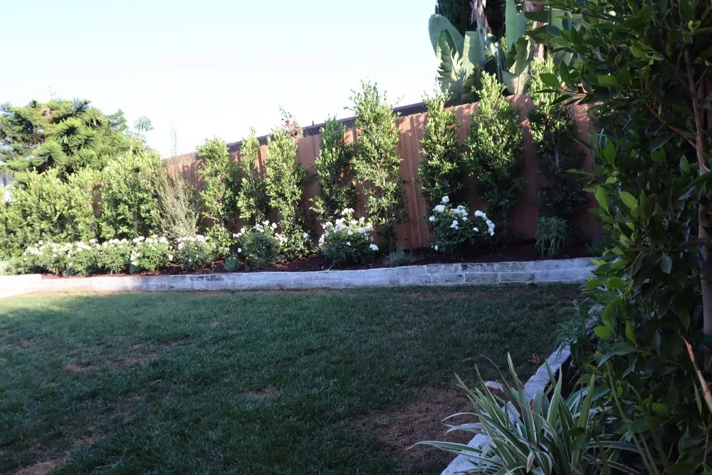 Expert lawn mowing service experts serving Costa Mesa, CA - Fnl Landscaping