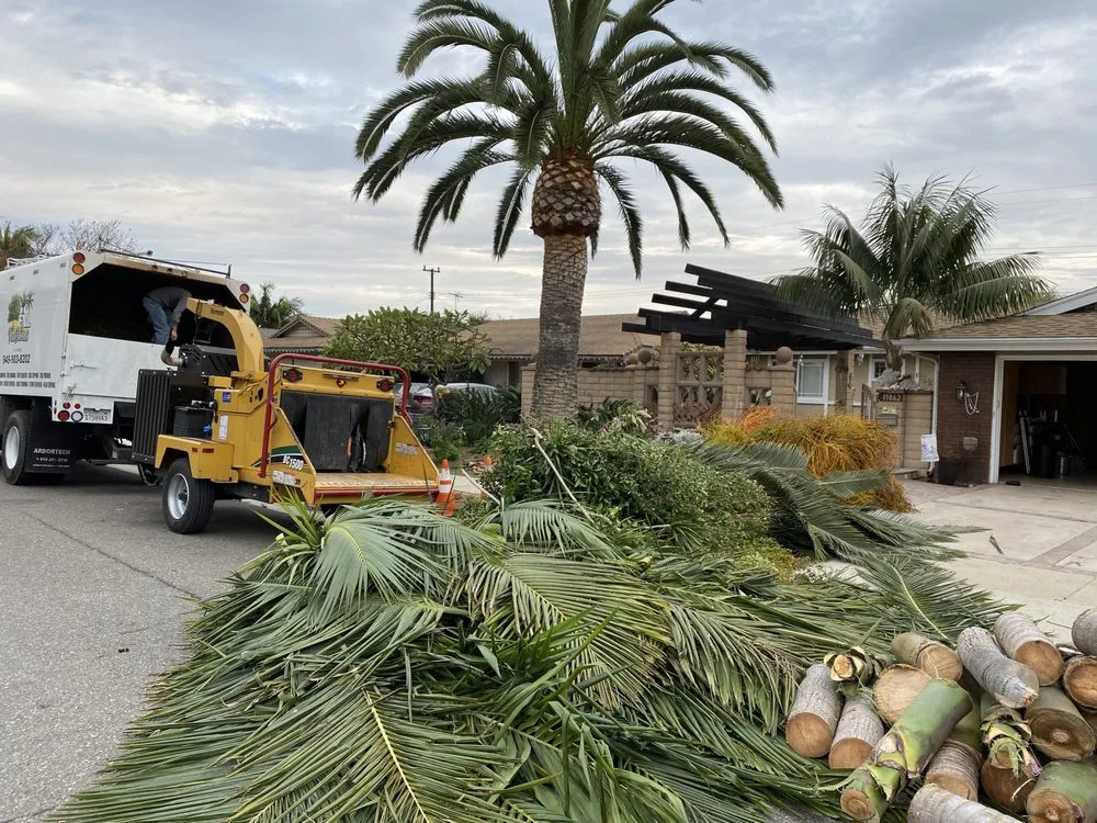 Affordable landscape design for outdoor upgrades across Costa Mesa, CA - Fnl Landscaping