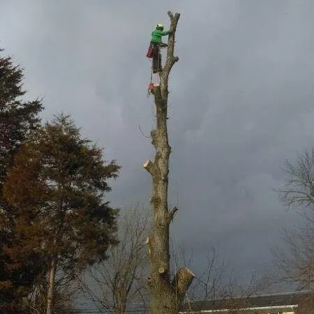 Trusted landscape design experts serving Salem, WI - FNS Tree And Landscaping