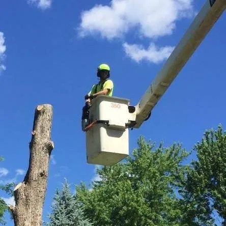 Top-rated landscaping services with custom design in Salem, WI by FNS Tree And Landscaping