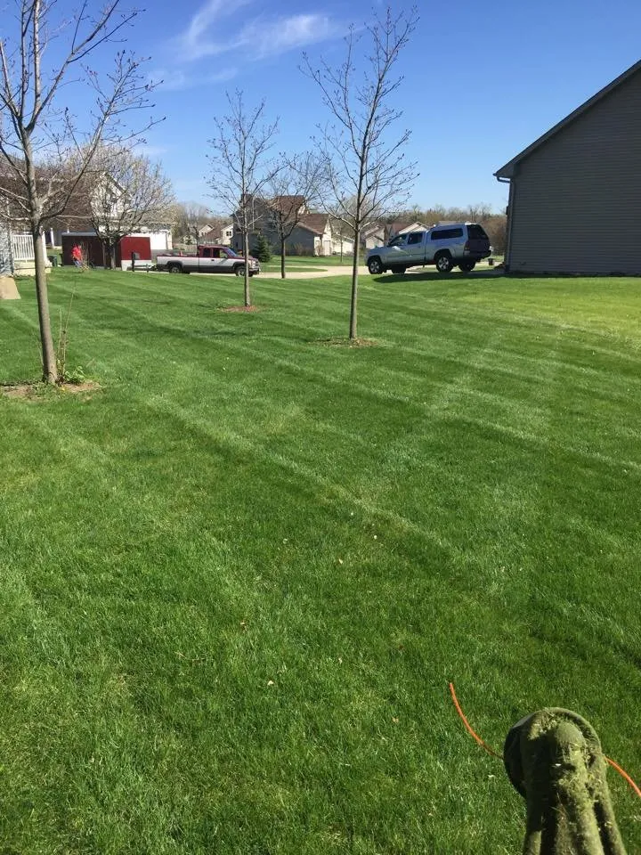 Expert landscape design in Salem, WI by FNS Tree And Landscaping