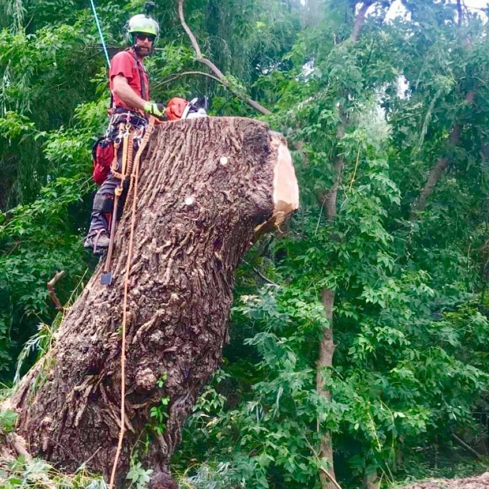 Top-rated landscape installation in Salem, WI - FNS Tree And Landscaping