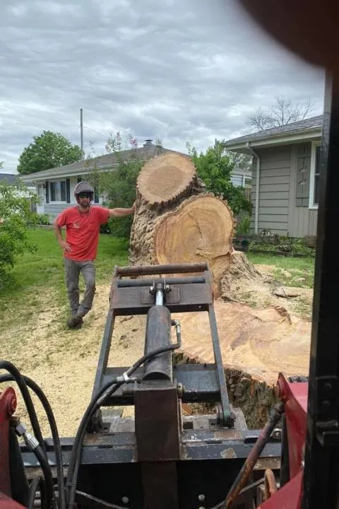 Affordable yard maintenance for year-round maintenance in Salem, WI by FNS Tree And Landscaping