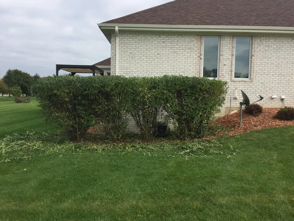Expert landscape design for residential properties in Salem, WI by FNS Tree And Landscaping