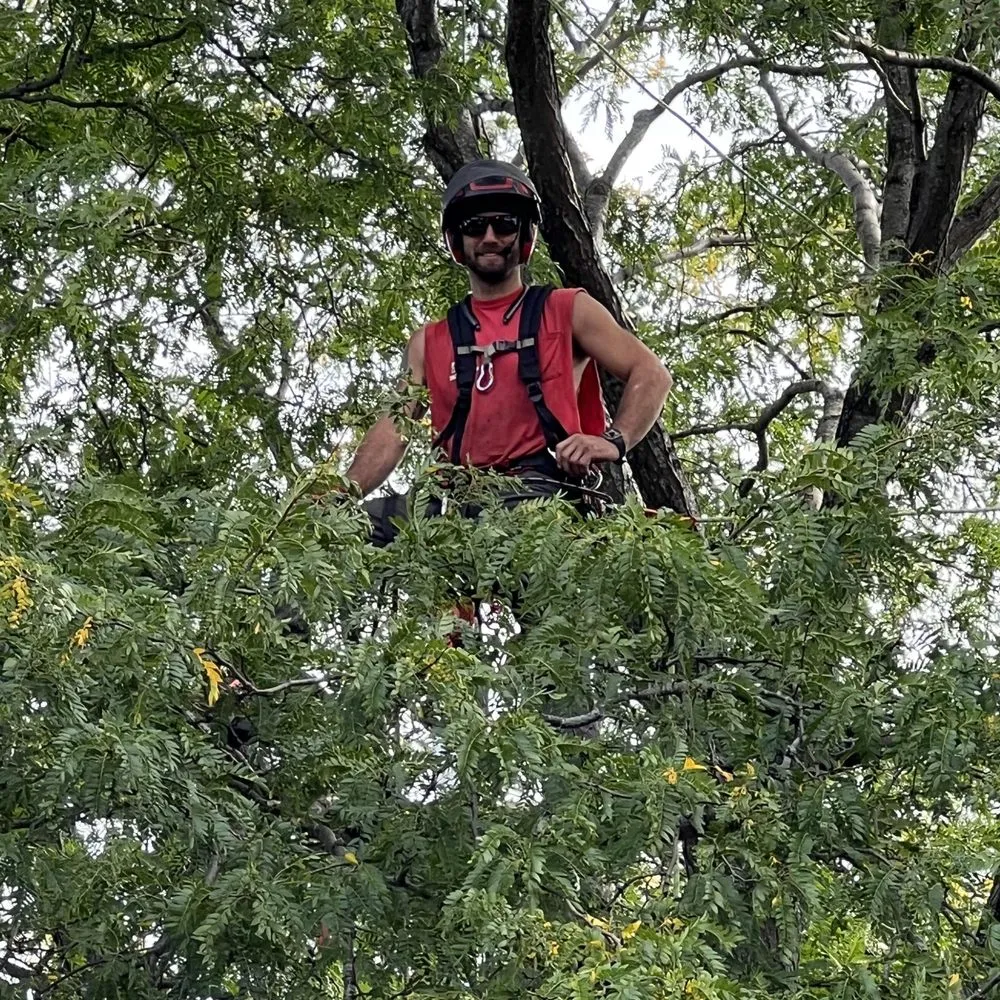 Local yard maintenance in Salem, WI - FNS Tree And Landscaping