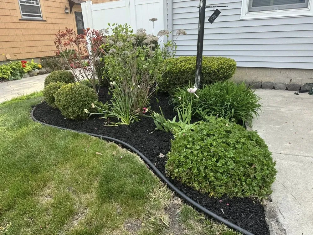 Local yard cleanup service experts serving Salem, WI - FNS Tree And Landscaping