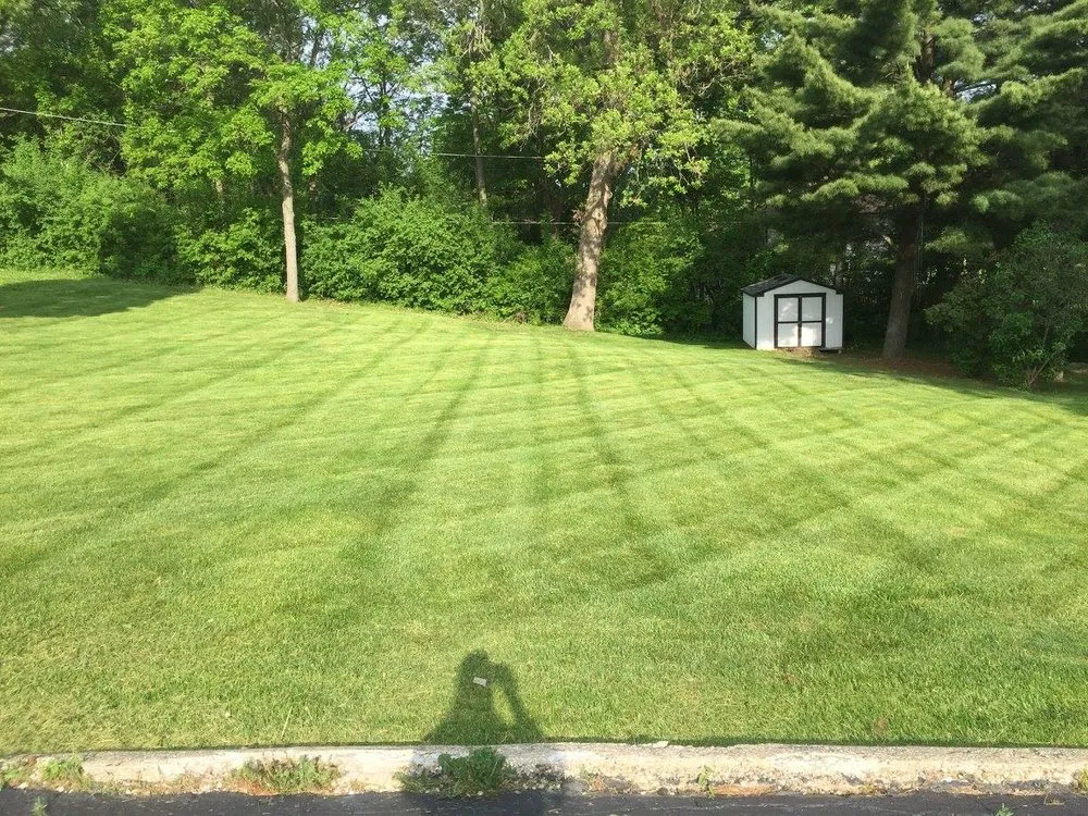 Top-rated landscape design in Salem, WI - FNS Tree And Landscaping