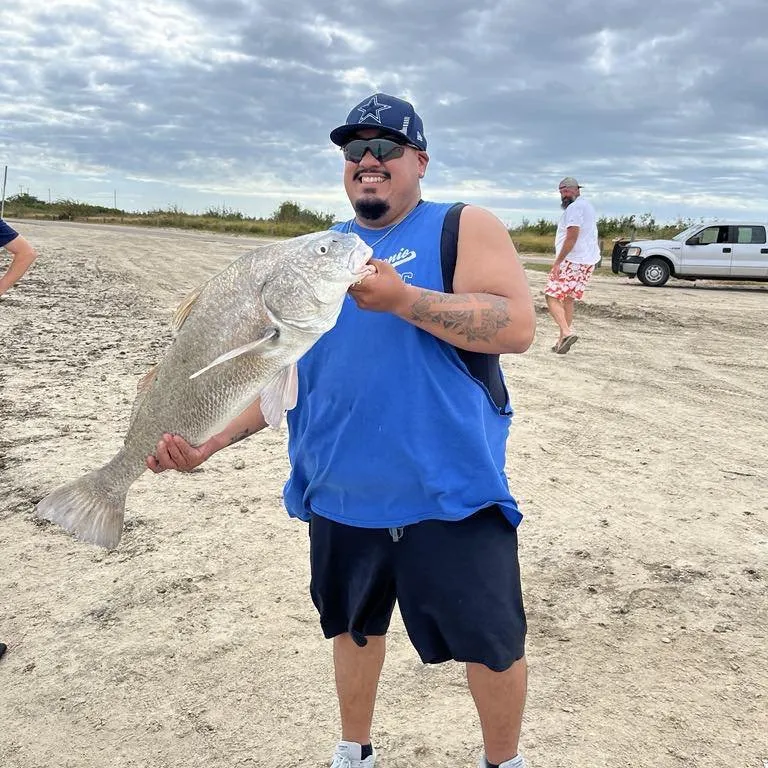 Top-rated landscape design experts serving San Antonio, TX - FNT Lawn Care