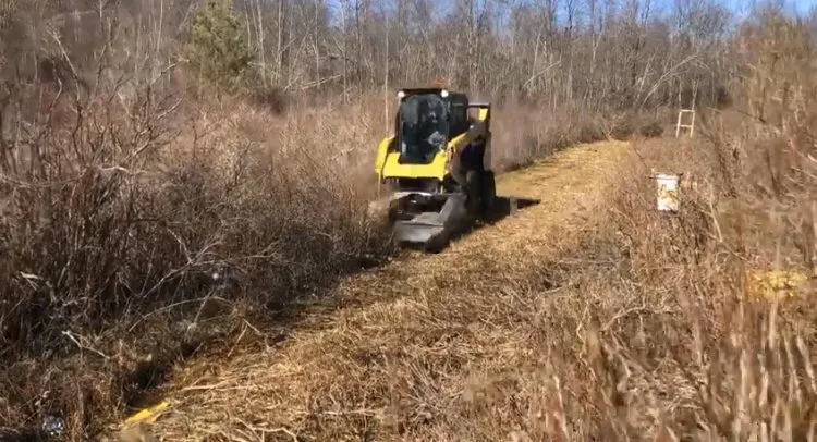 Local landscaping services for homes across Olyphant, PA - Focal Contracting