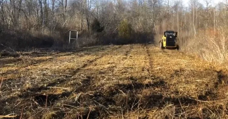 Reliable landscape design with custom design in Olyphant, PA by Focal Contracting