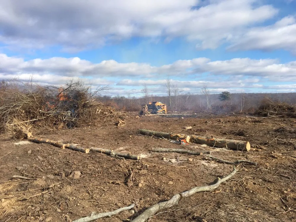 Custom yard cleanup service near you in Olyphant, PA by Focal Contracting