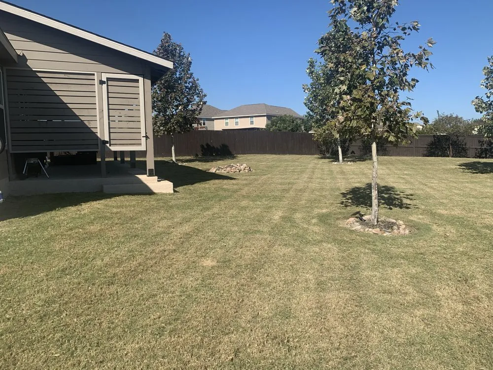 Professional yard cleanup service for residential properties in La Vernia, TX by Focal Horizon
