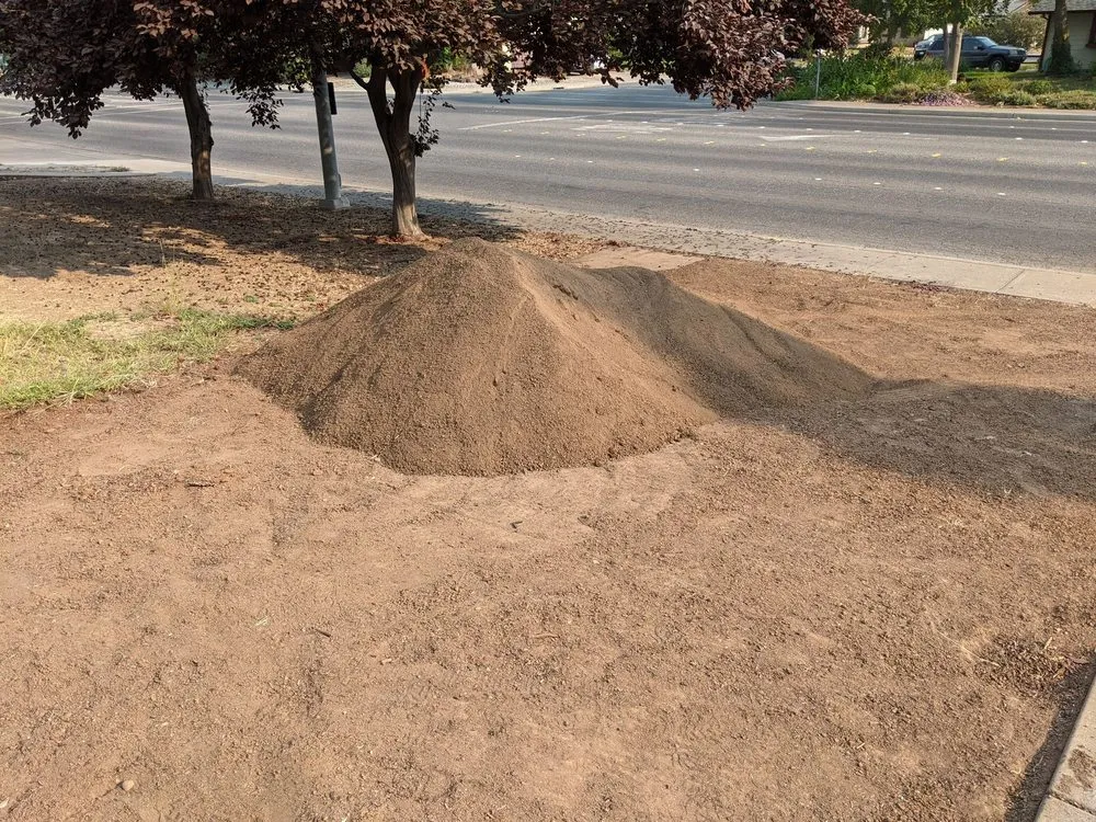 Local garden landscaping in Chico, CA - Focal Point Discount Landscape