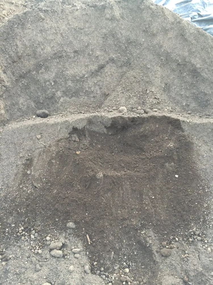 Professional lawn care service in Chico, CA - Focal Point Discount Landscape