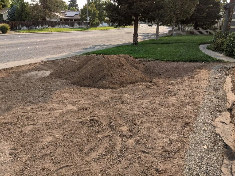 Affordable landscape design in Chico, CA by Focal Point Discount Landscape