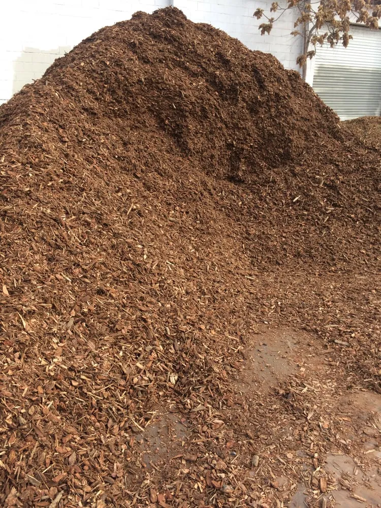 Affordable outdoor landscaping experts serving Chico, CA - Focal Point Discount Landscape