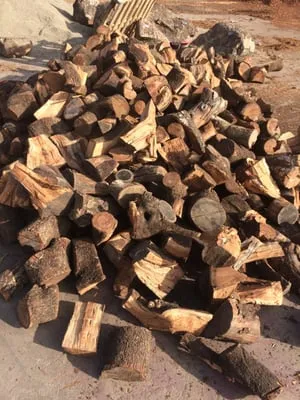 Focal Point Discount Landscape Logo