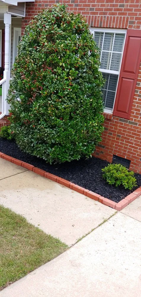 Professional garden landscaping in Spring Lake, NC - Focal point landscaping