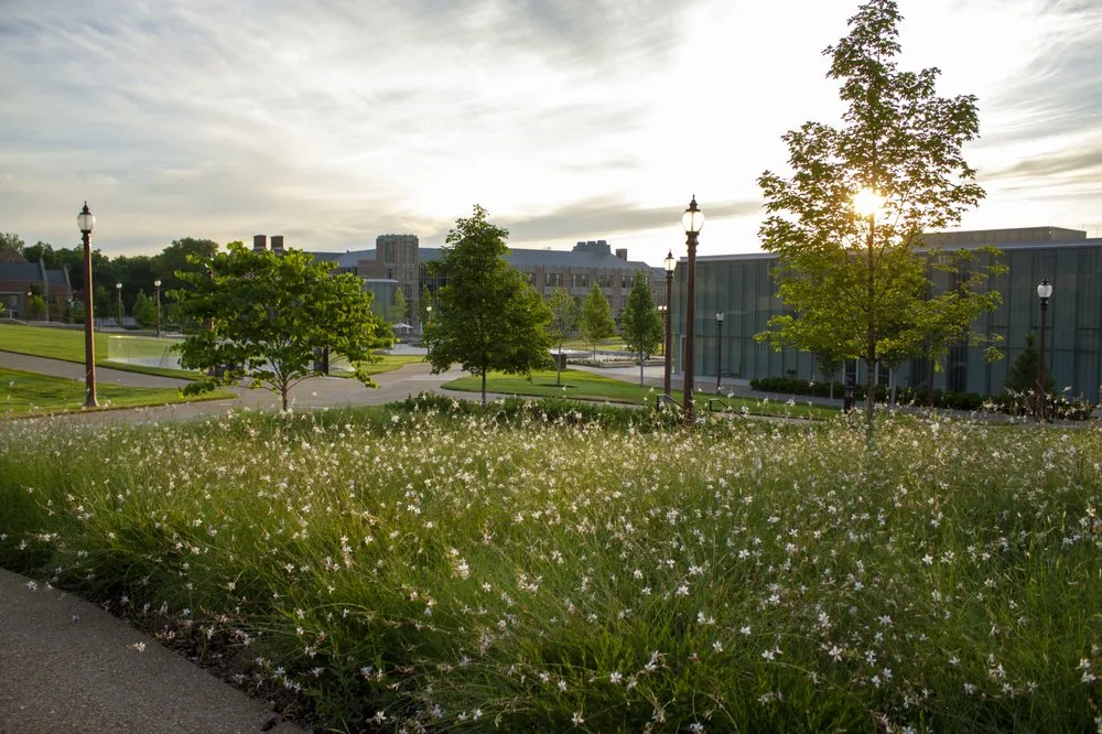 Custom outdoor landscaping for homes in Caseyville, IL by Focal Pointe
