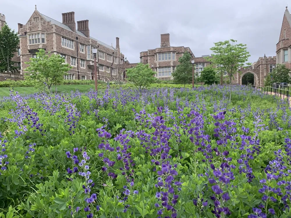 Reliable landscape installation for residential properties across Caseyville, IL - Focal Pointe