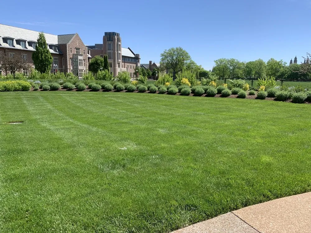 Top-rated lawn care service experts serving Caseyville, IL - Focal Pointe