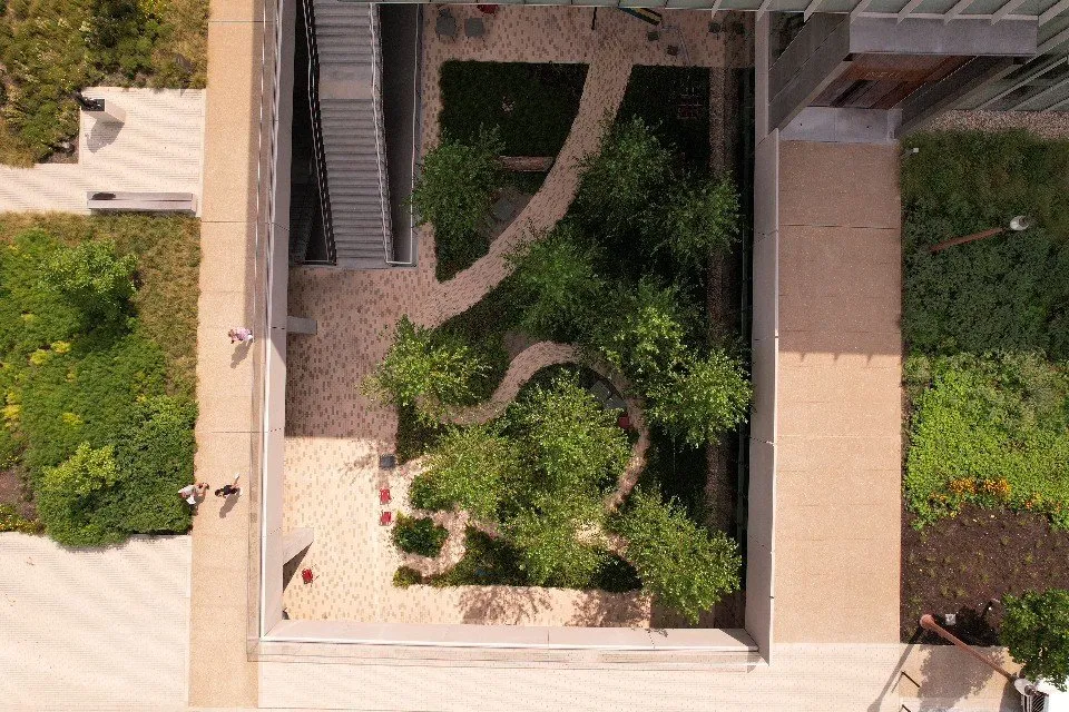 Top-rated lawn care service in Caseyville, IL - Focal Pointe