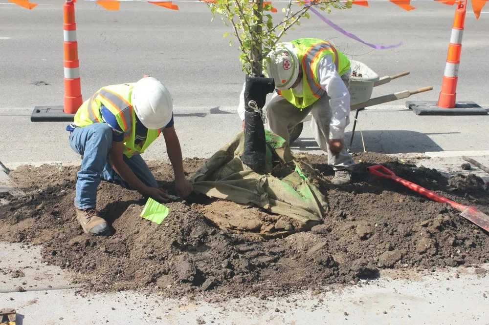 Custom garden landscaping with custom design across Caseyville, IL - Focal Pointe