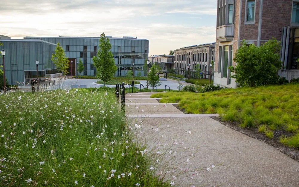 Trusted landscape installation experts serving Caseyville, IL - Focal Pointe