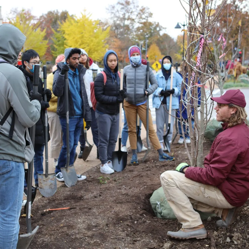 Custom lawn mowing service in Caseyville, IL - Focal Pointe