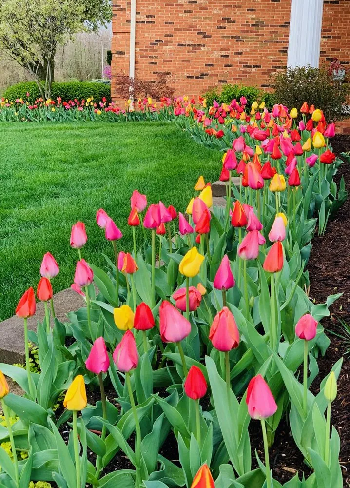 Reliable landscape design with custom design across Caseyville, IL - Focal Pointe