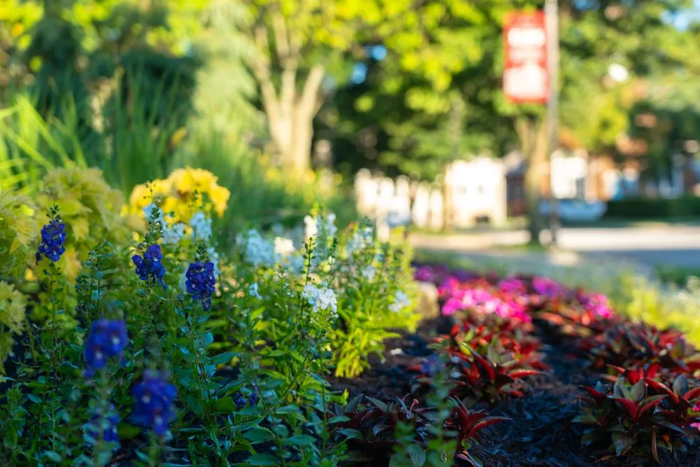 Professional outdoor landscaping for beautiful yards across Kansas City, KS - Focal Pointe