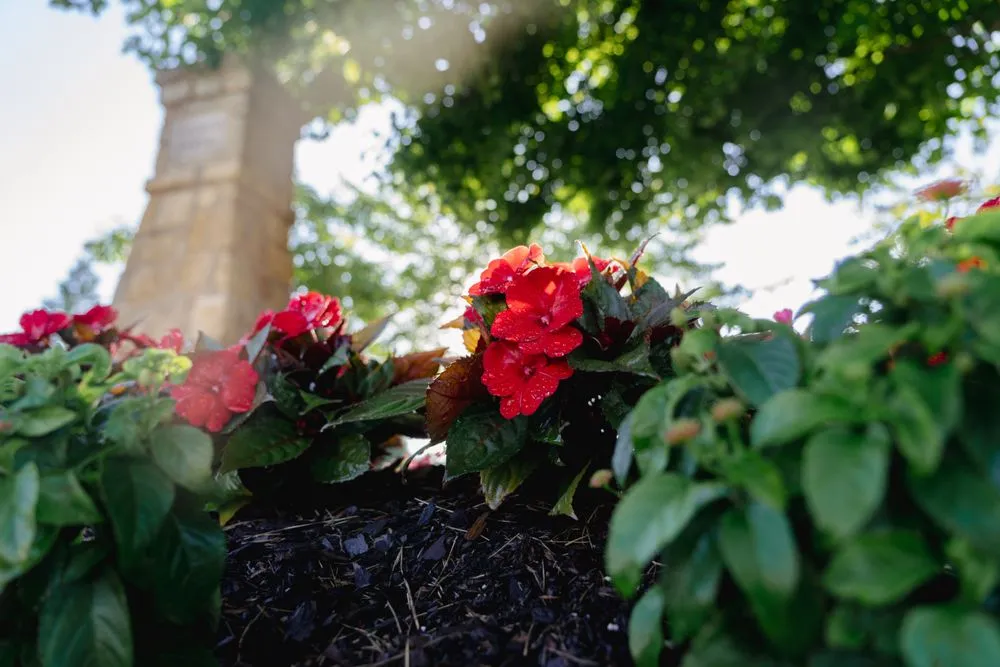 Expert garden landscaping near you across Kansas City, KS - Focal Pointe