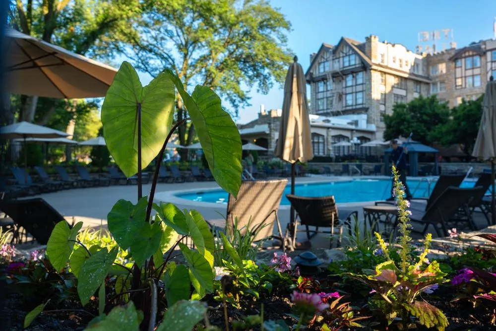 Expert lawn mowing service for homes across Kansas City, KS - Focal Pointe