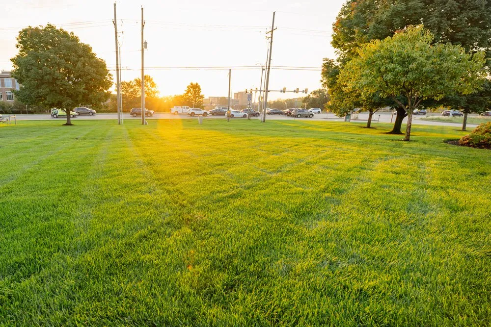 Custom outdoor landscaping experts serving Kansas City, KS - Focal Pointe