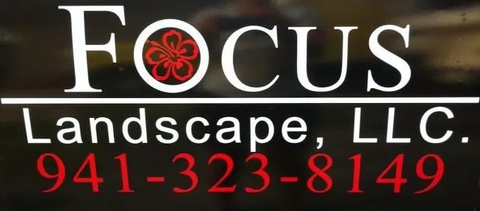 Professional garden landscaping for beautiful yards in Sarasota, FL by Focus Landscape