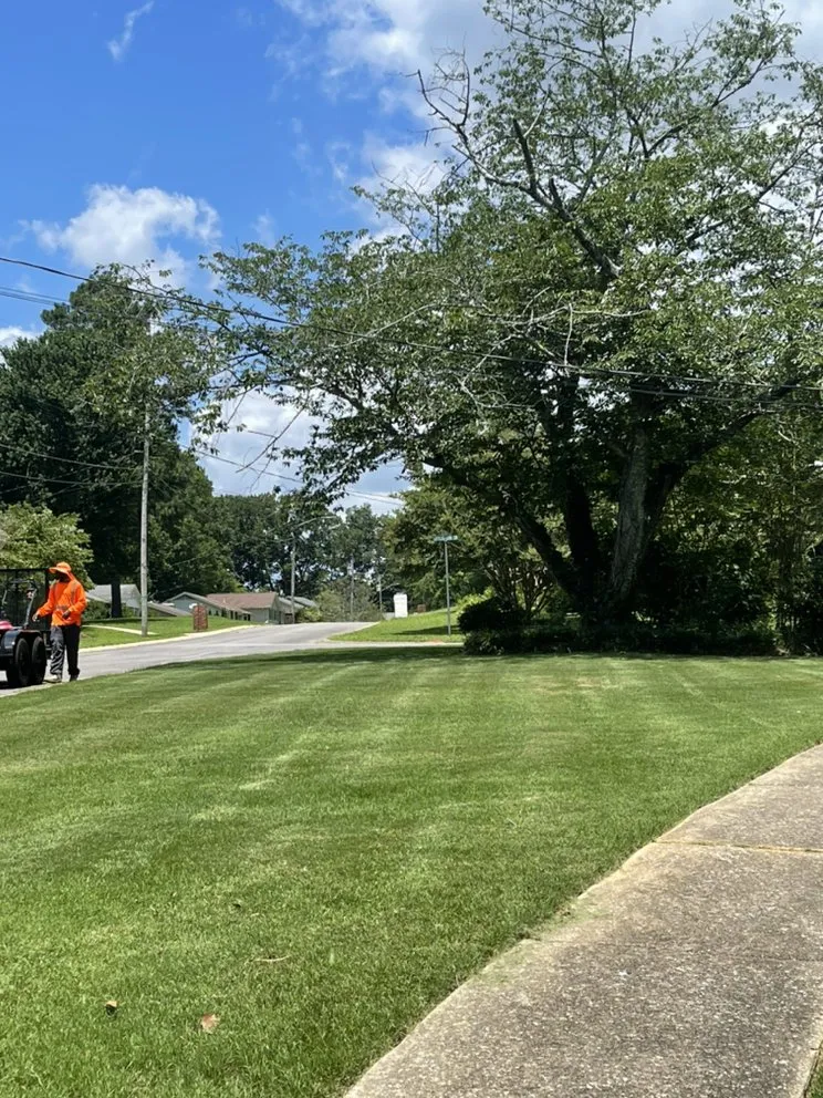 Local residential landscaping in Trussville, AL - Focus Lawn And Pressure Washing