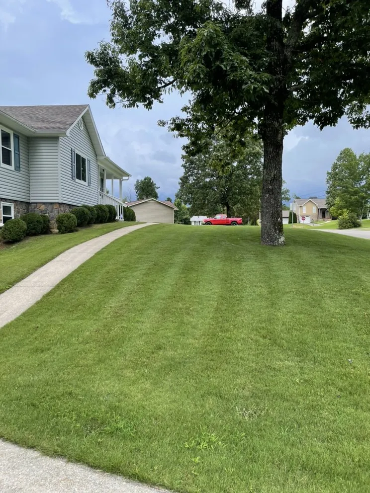 Top-rated residential landscaping for beautiful yards across Trussville, AL - Focus Lawn And Pressure Washing