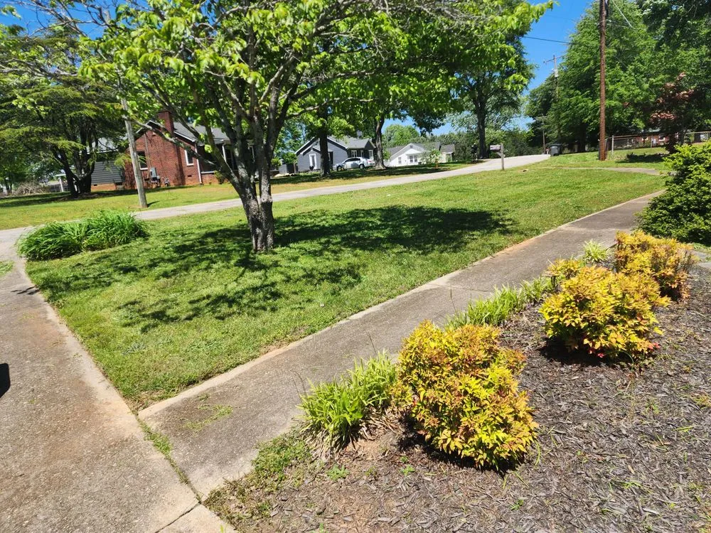 Top-rated landscape design for year-round maintenance across Easley, SC - FocusCuts