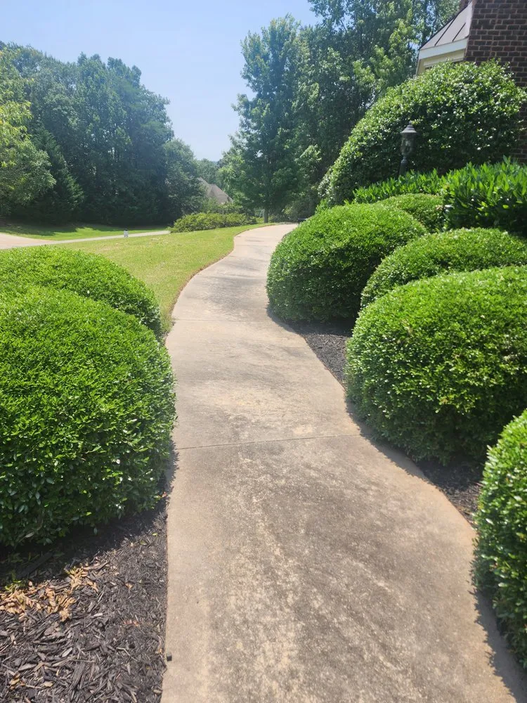 Local lawn care service near you across Easley, SC - FocusCuts