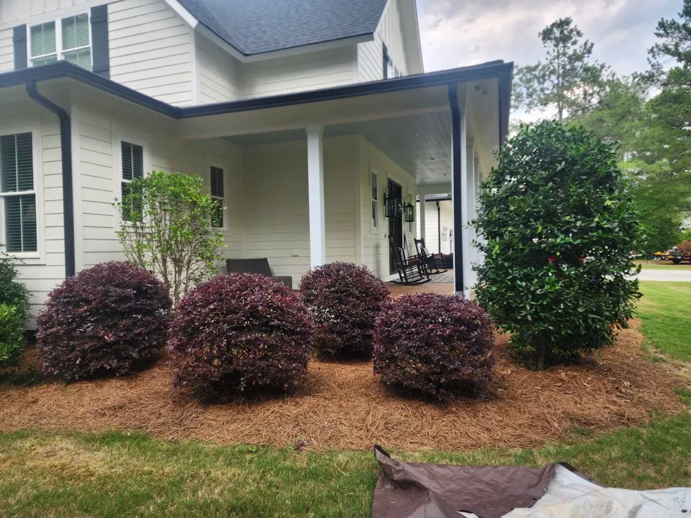 Affordable yard maintenance for year-round maintenance across Easley, SC - FocusCuts