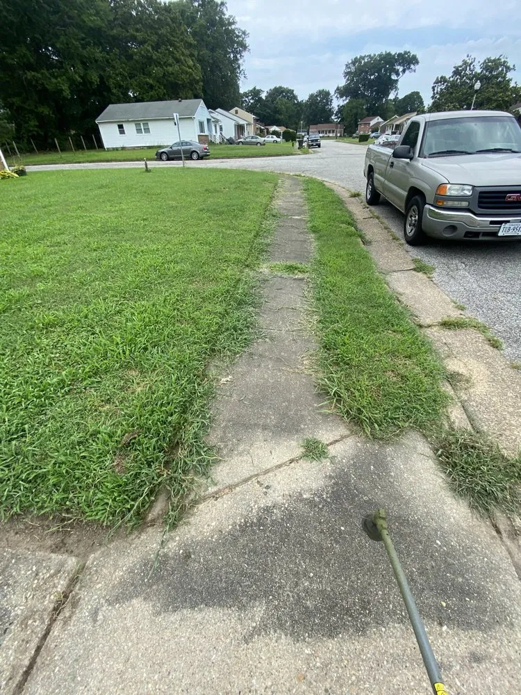 Reliable landscaping services experts serving Norfolk, VA - Focused Fox