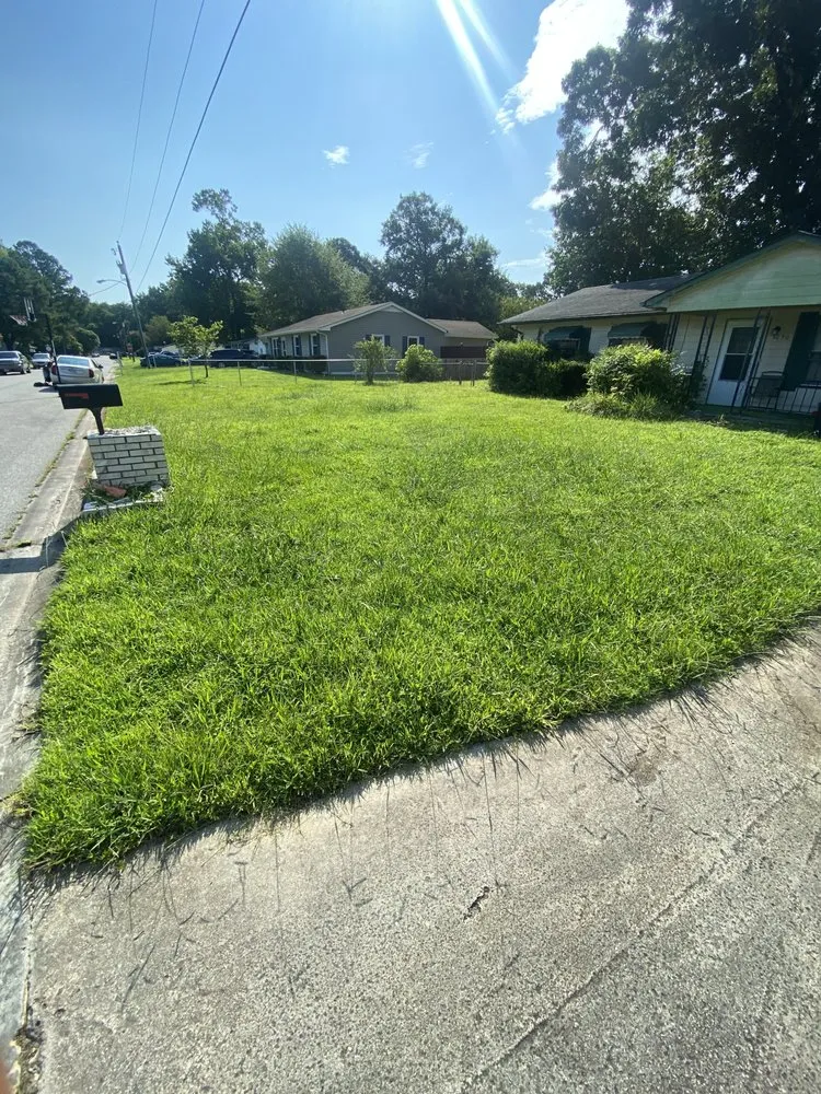 Reliable garden landscaping experts serving Norfolk, VA - Focused Fox