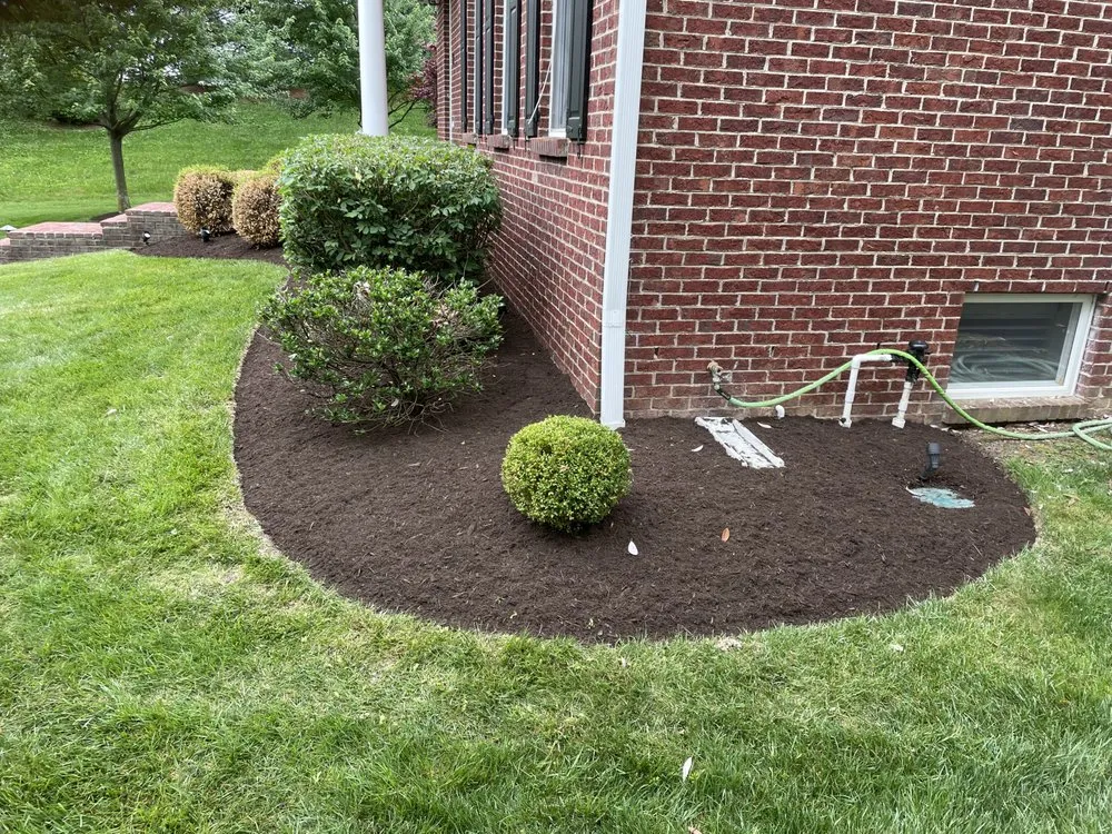 Reliable outdoor landscaping for outdoor upgrades across Lexington-Fayette, KY - Focused Landscaping