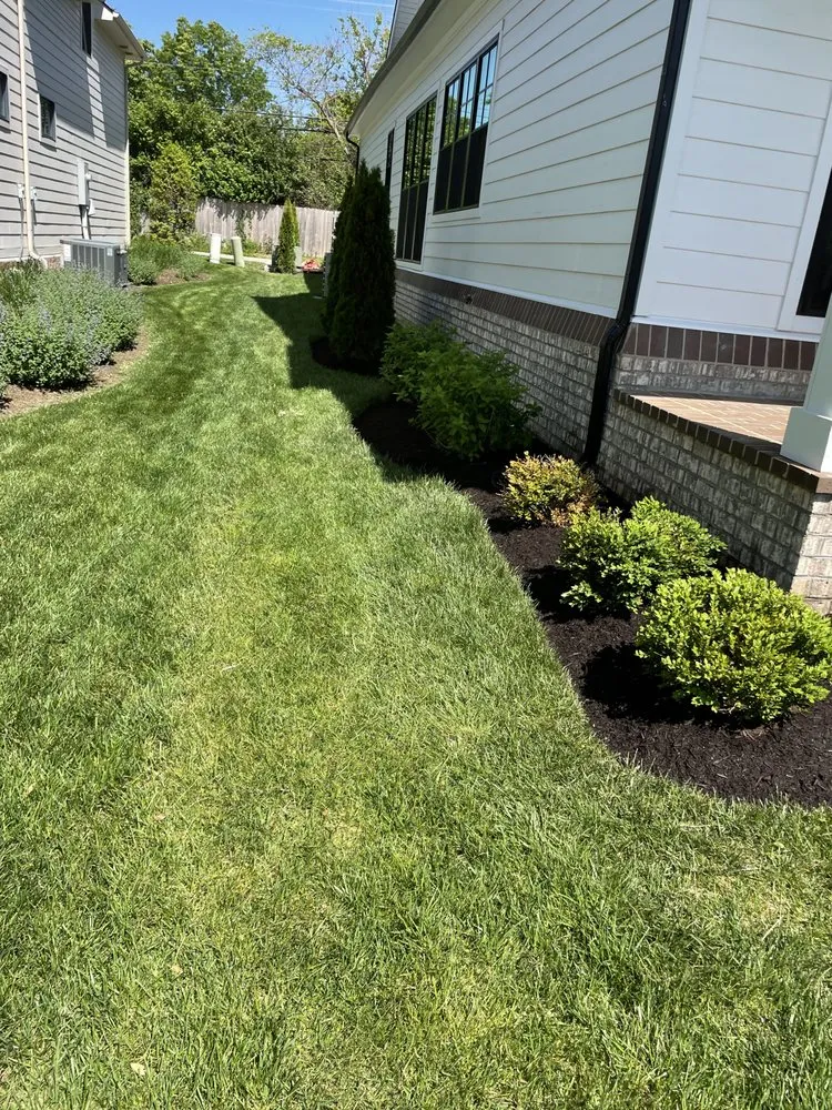 Top-rated lawn mowing service in Lexington-Fayette, KY by Focused Landscaping