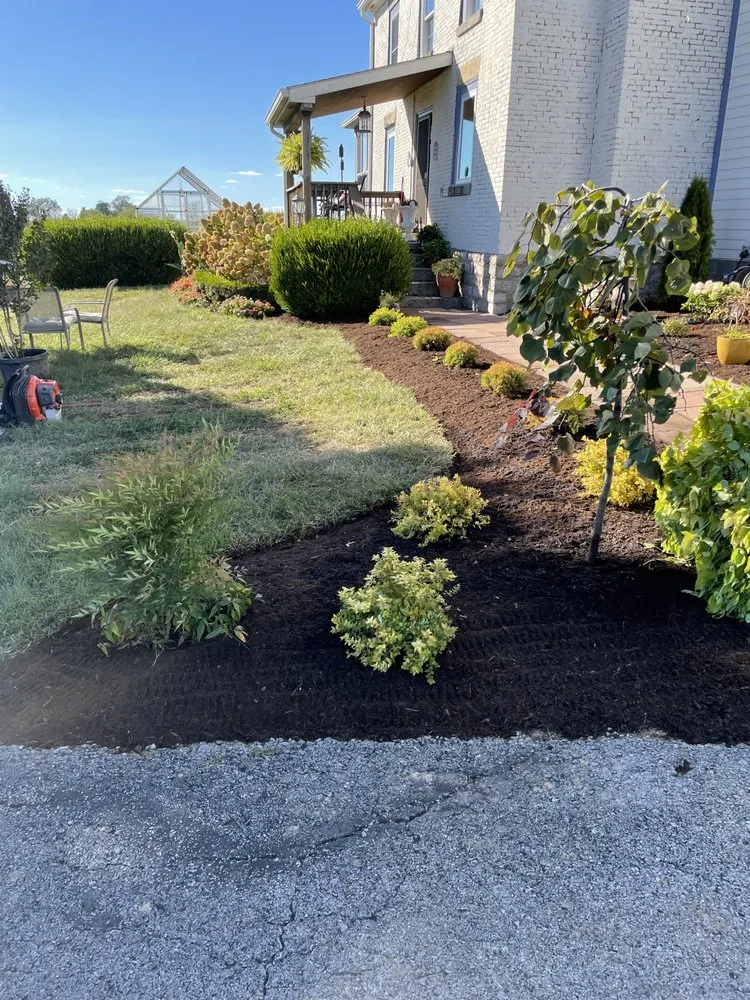 Affordable yard cleanup service for year-round maintenance across Lexington-Fayette, KY - Focused Landscaping