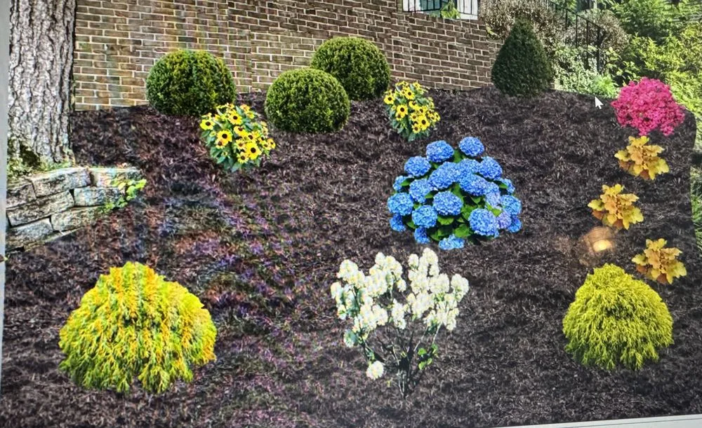 Trusted yard cleanup service experts serving Lexington-Fayette, KY - Focused Landscaping